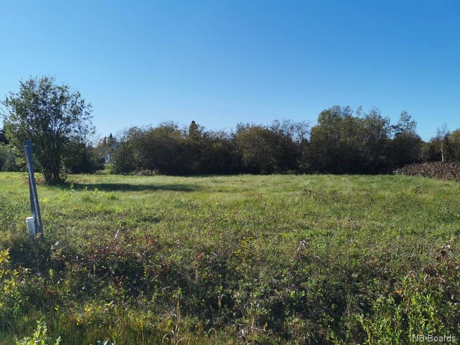 Lot 16 Des Freres Street, Charlo, New Brunswick  E8E 0B7 - Photo 2 - NB064193
