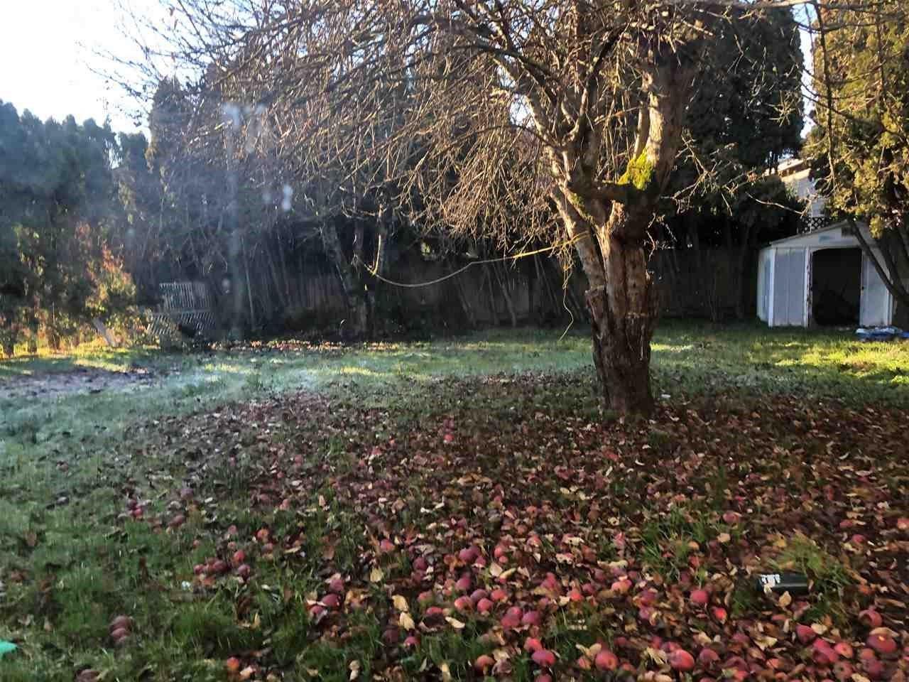 6531 No. 2 Road, Richmond, British Columbia  V7C 3L4 - Photo 4 - R2631062