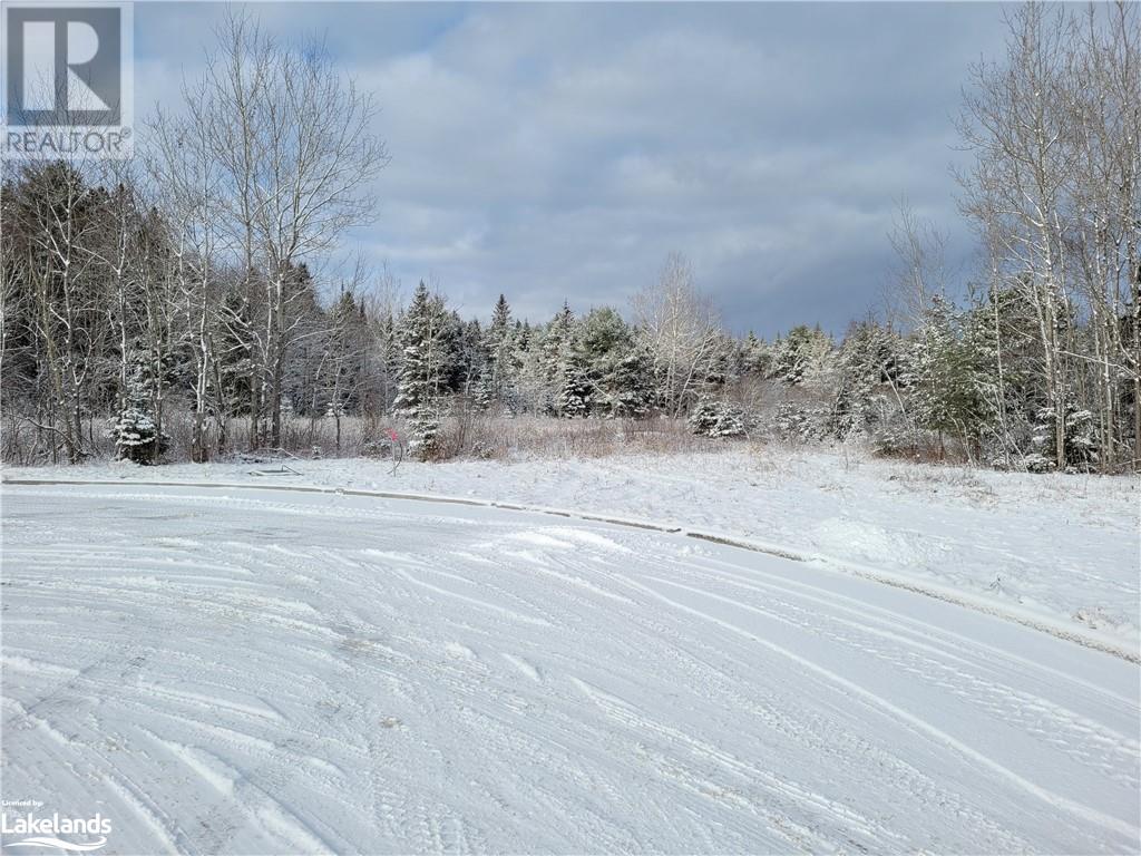 2 Salmon Avenue, Bracebridge, Ontario  P1L 1Z1 - Photo 9 - 40192120