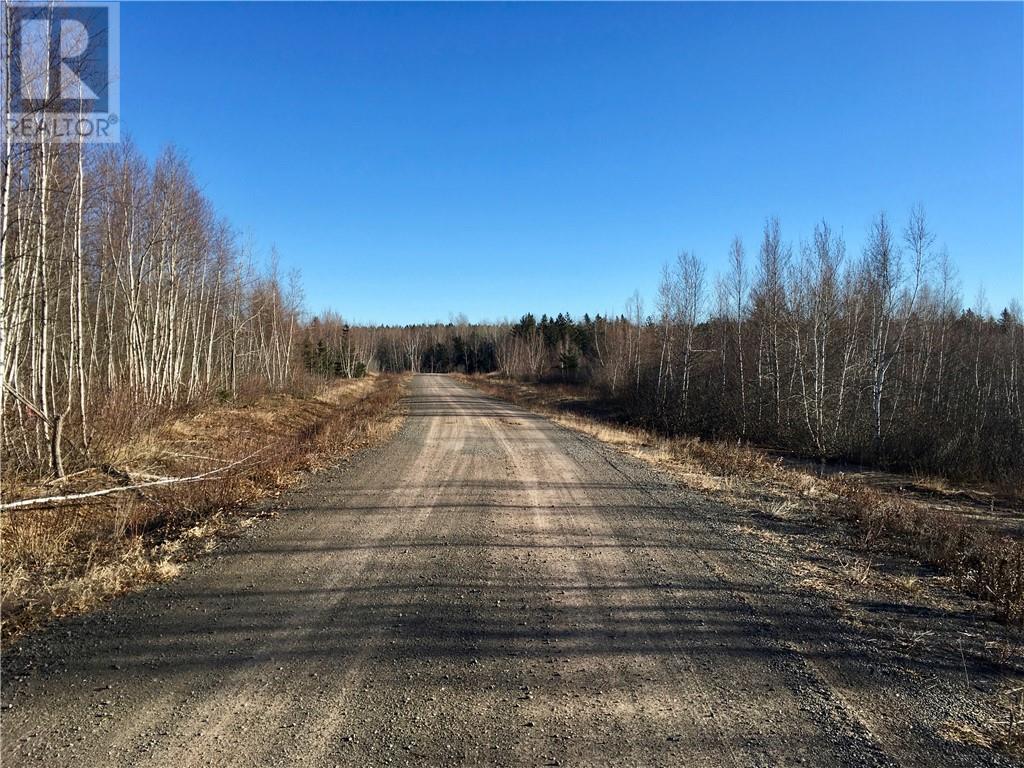 Lot 21-6 Rue Edmond, Cocagne, New Brunswick  E4R 2Z3 - Photo 6 - M139951