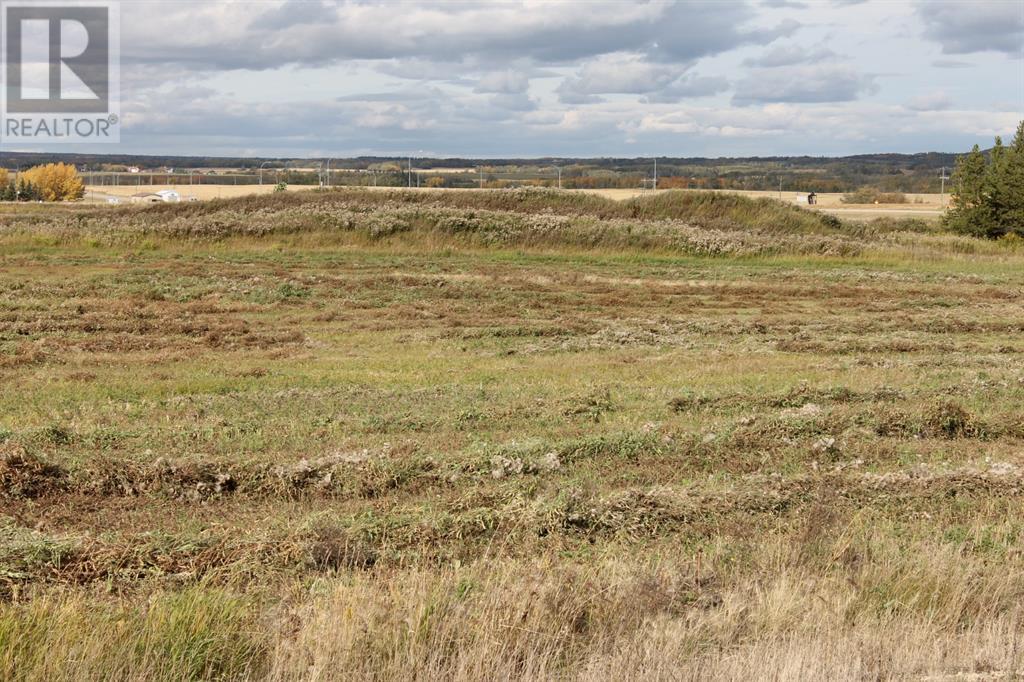 9001 90 Street, Sexsmith, Alberta T0H 3C0 - Photo 8 - A1165121