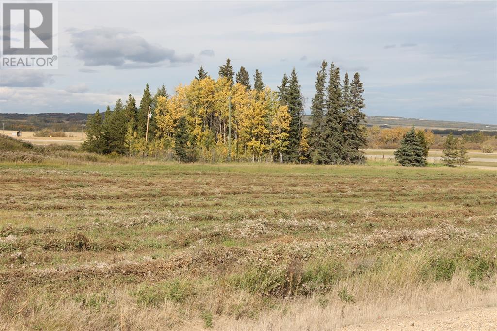 9001 90 Street, Sexsmith, Alberta T0H 3C0 - Photo 9 - A1165121