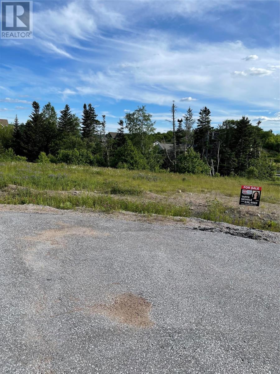 8A Jacks Place, Deer Lake, A8A0B6, ,Vacant land,For sale,Jacks,1237365