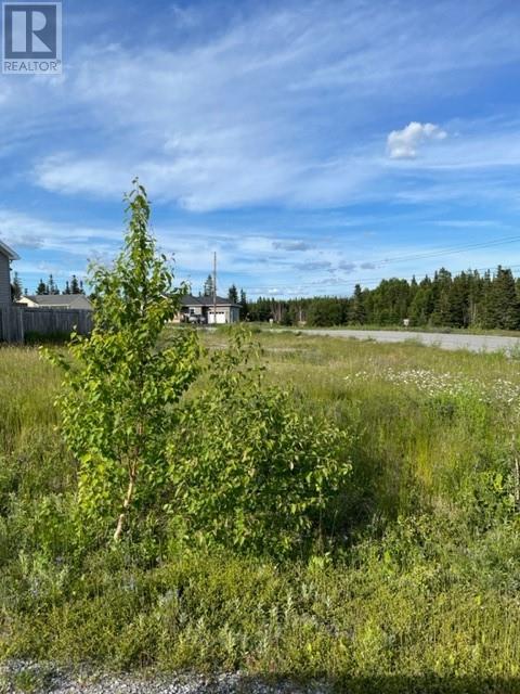 40 Grace Avenue, Deer Lake, A8A0B6, ,Vacant land,For sale,Grace,1237360