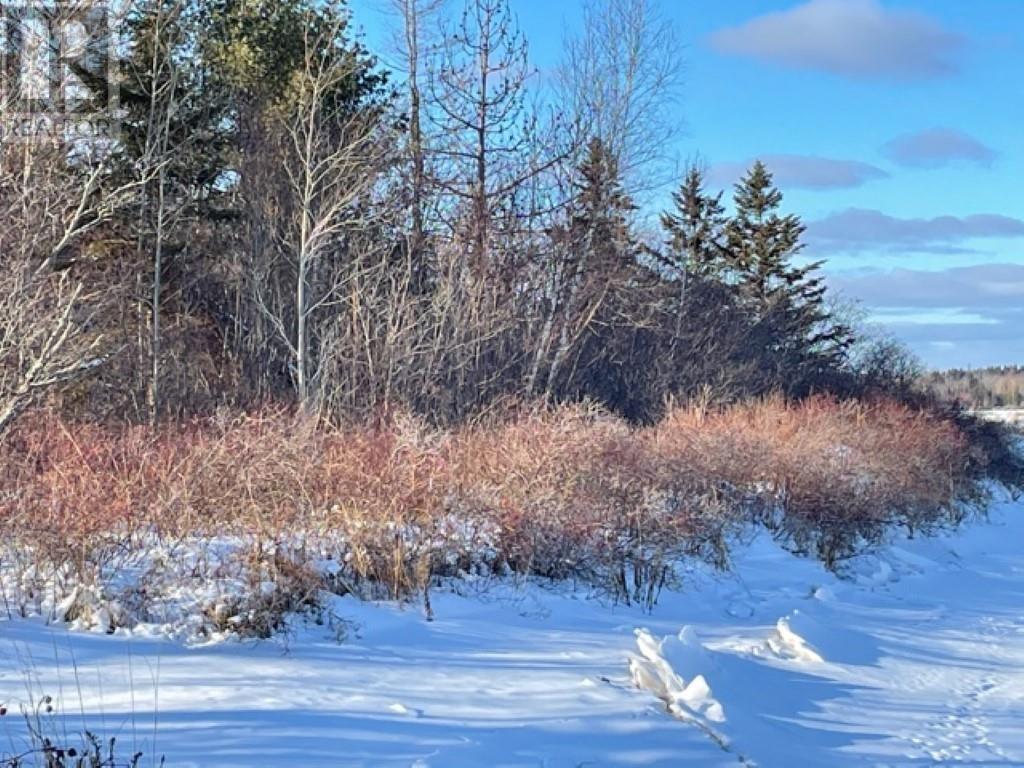 Lots 1,2,21,22 Wildwood Court, Cross Shores Estates, Wellington, Prince Edward Island  C0B 1Y0 - Photo 16 - 202104347