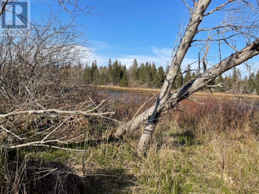 Lots 1,2,21,22 Wildwood Court, Cross Shores Estates, Wellington, Prince Edward Island C0B 1Y0 - Photo 5 - 202104347