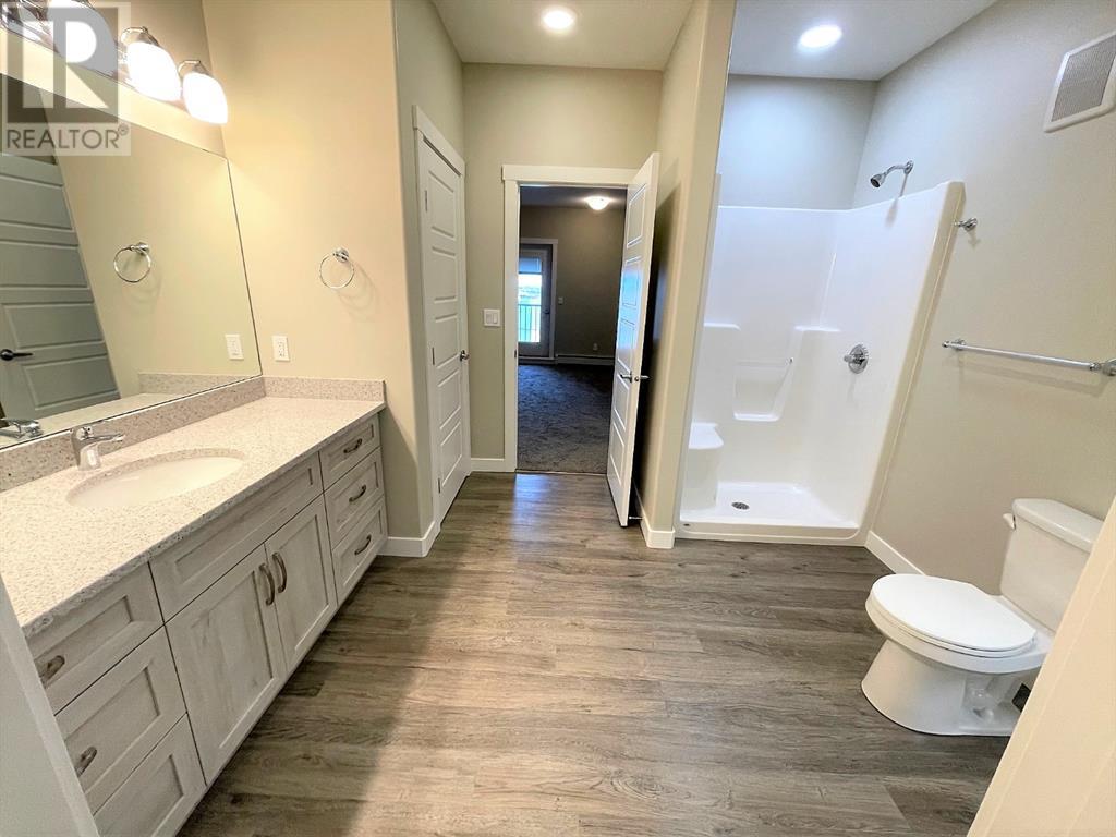406, 499 Meadowlake Court E, Brooks, Alberta T1R 0Y7 - Photo 8 - A1196358