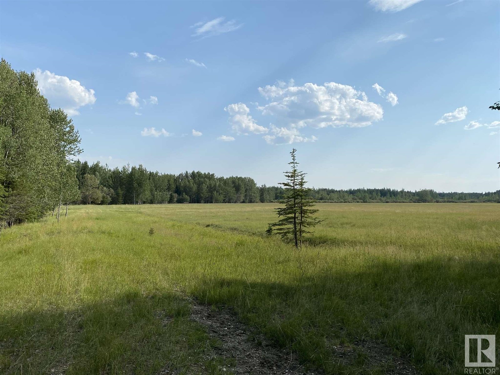 Rr84 And Hwy 621, Rural Brazeau County, Alberta  T7A 2A3 - Photo 4 - E4255867