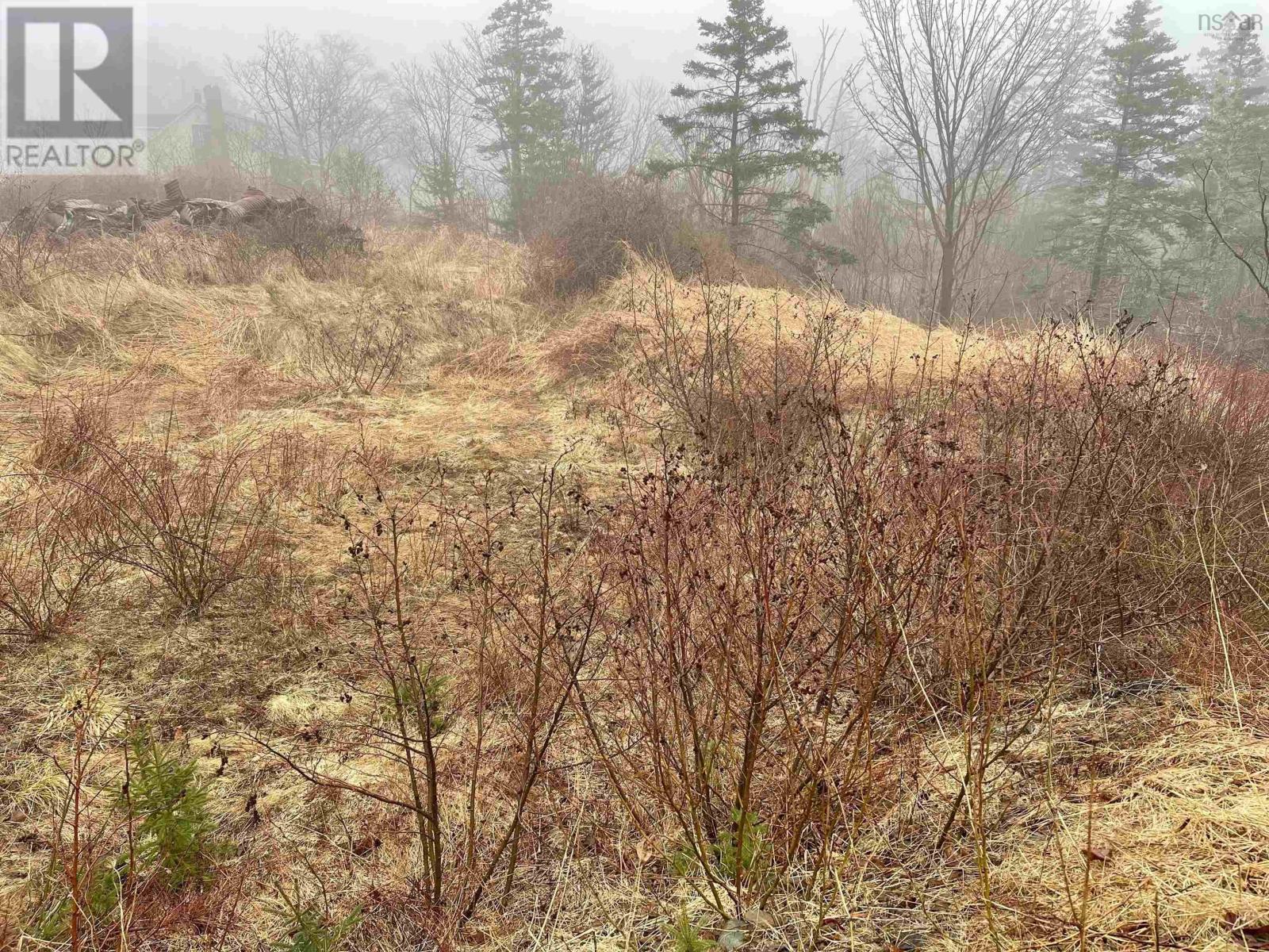 Lot 217 Highway, Rossway, Nova Scotia  B0V 1A0 - Photo 2 - 202205790