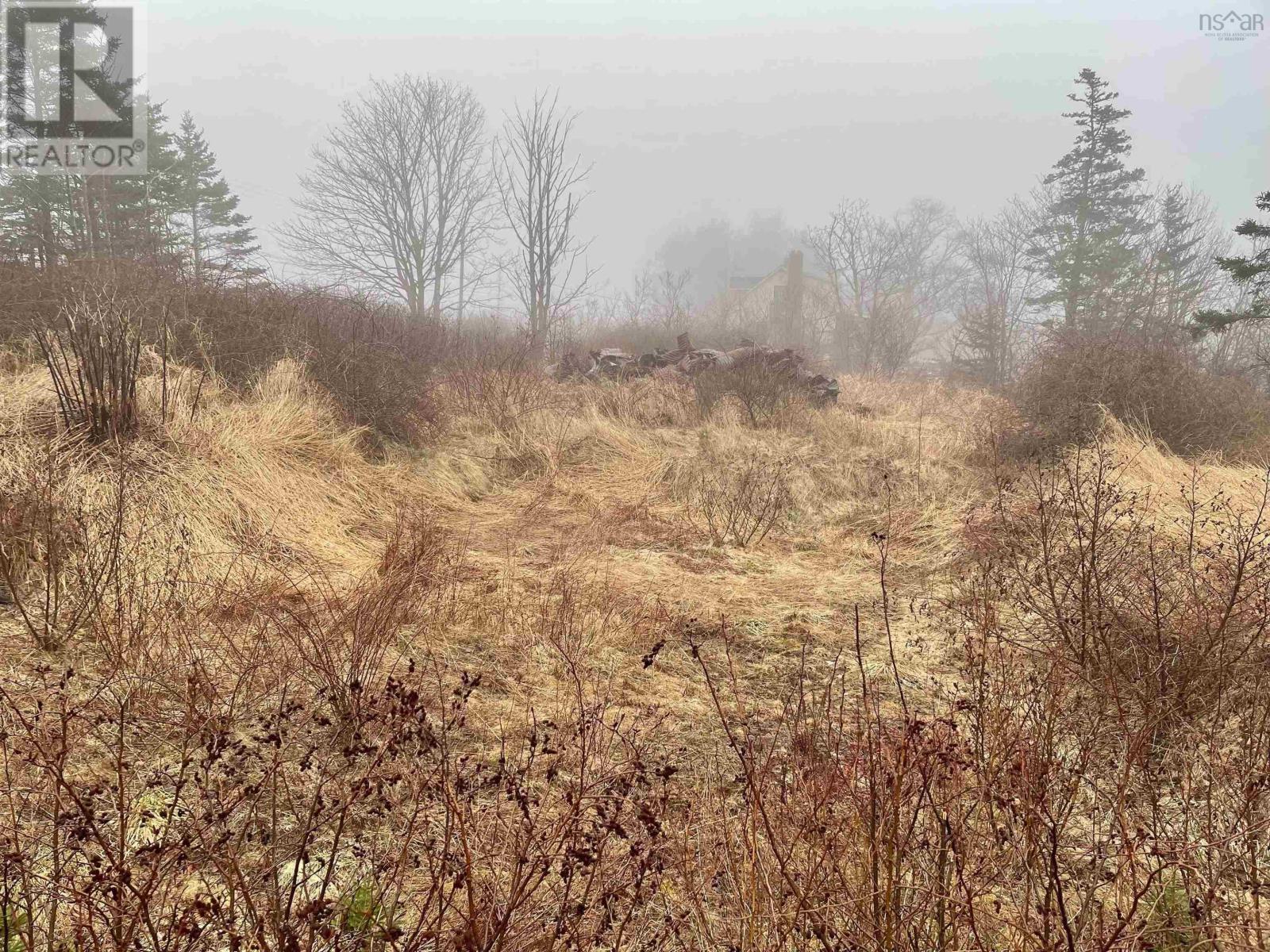 Lot 217 Highway, Rossway, Nova Scotia  B0V 1A0 - Photo 3 - 202205790