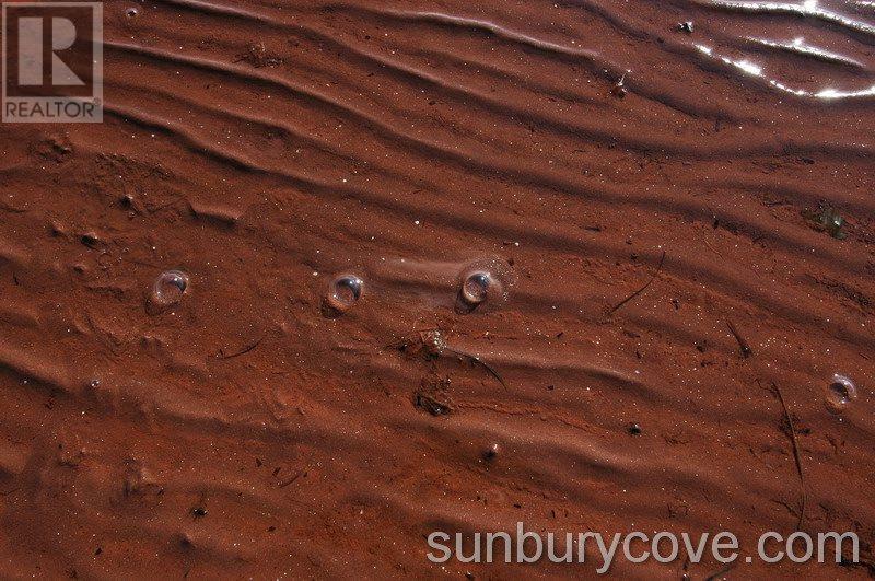 St Nicholas, St. Nicholas, Prince Edward Island  C0B 1B0 - Photo 9 - 201918347