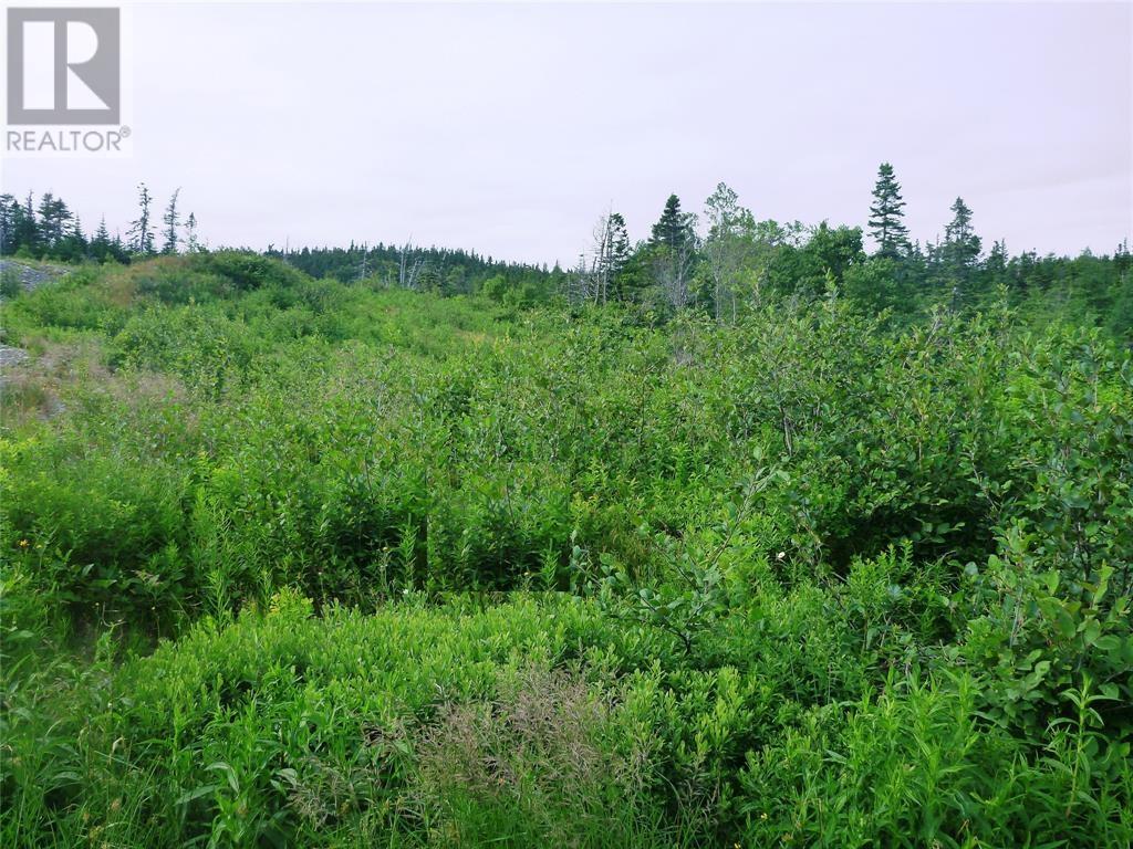 2-4 Snows Pond Road, North River, Newfoundland & Labrador