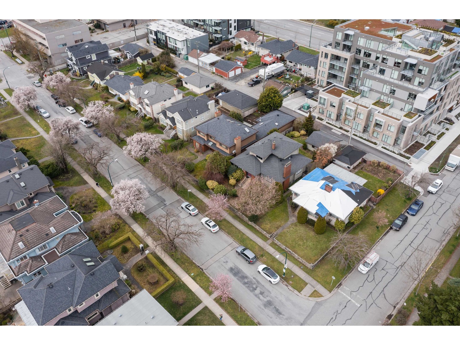 393 W 42ND AVENUE, vancouver, British Columbia