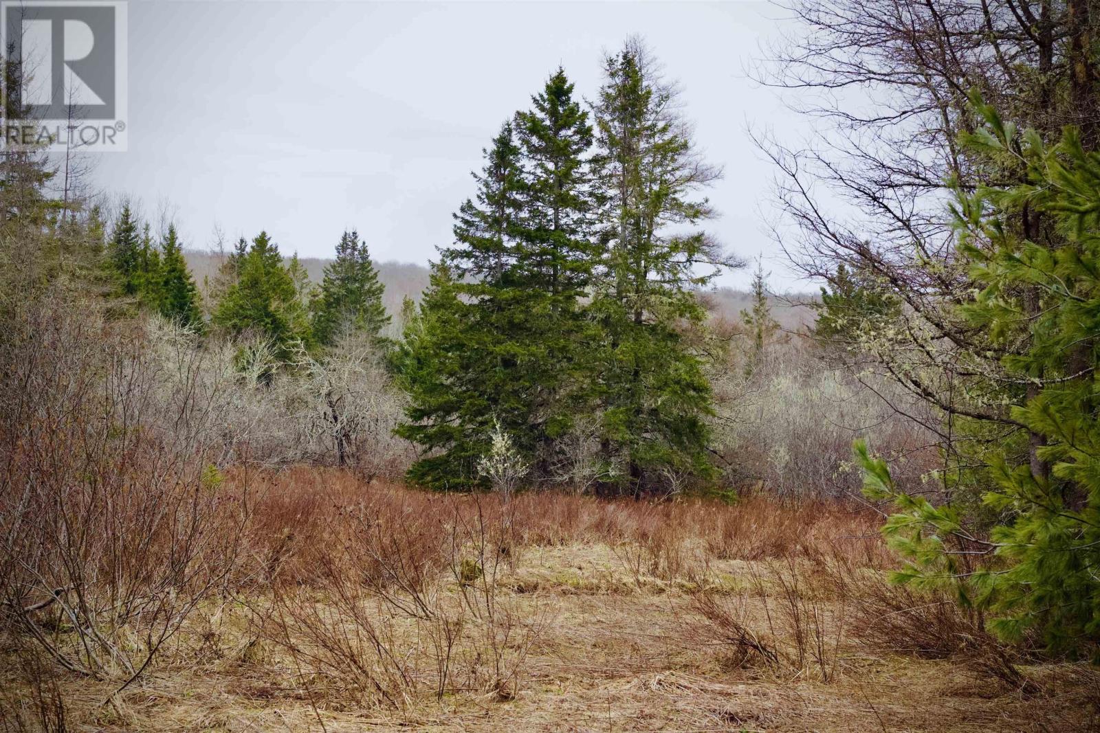 Lot A Millbrook Road, Watervale, Nova Scotia  B0K 1P0 - Photo 3 - 202207395