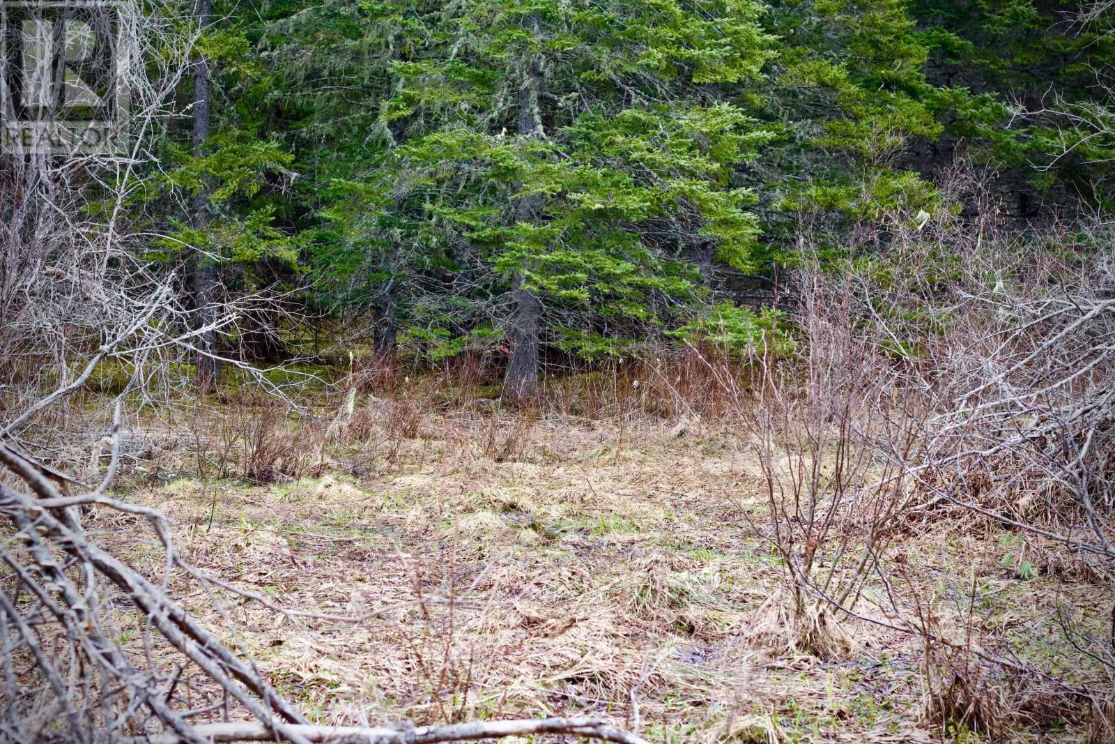 Lot A Millbrook Road, Watervale, Nova Scotia  B0K 1P0 - Photo 4 - 202207395