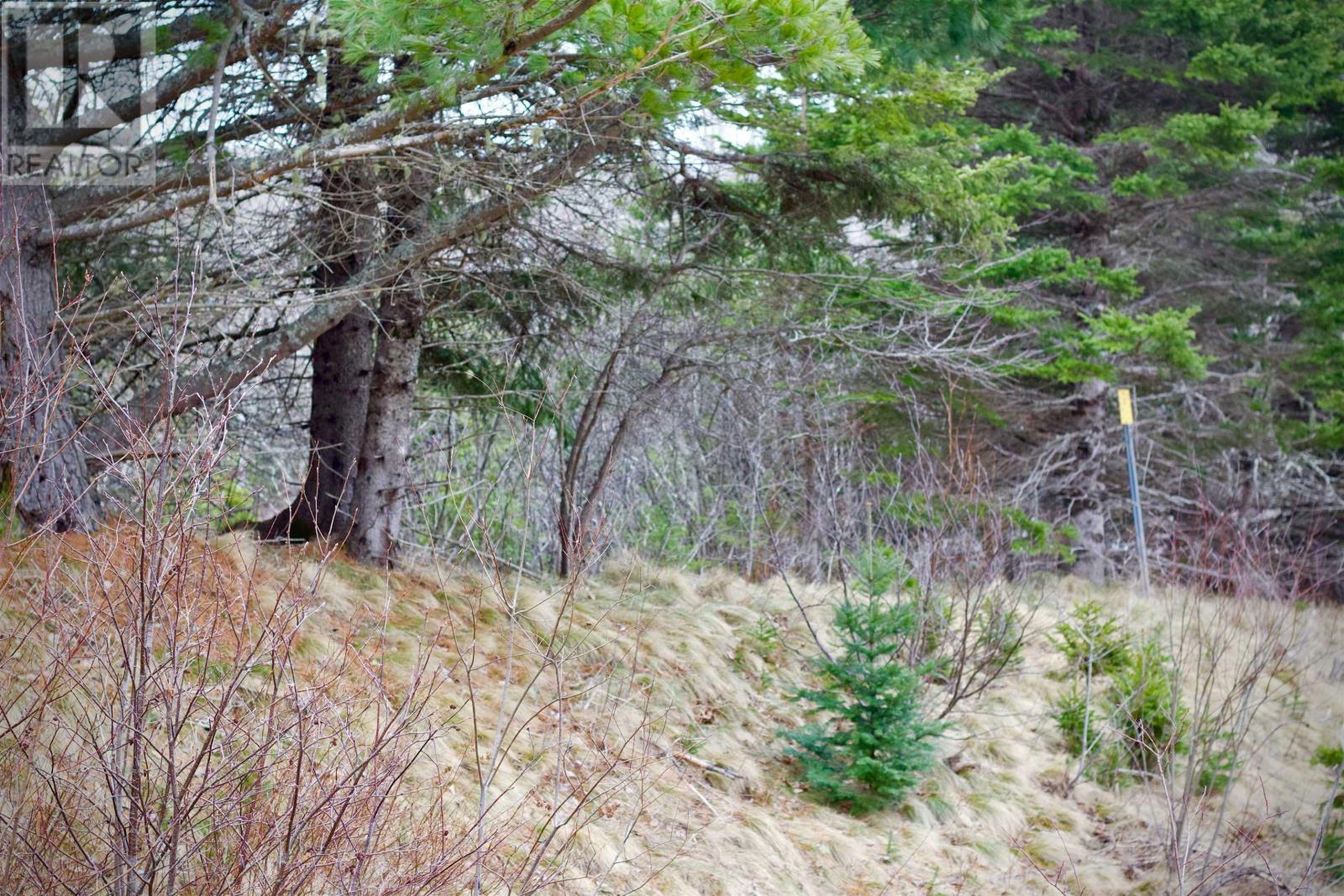 Lot A Millbrook Road, Watervale, Nova Scotia  B0K 1P0 - Photo 5 - 202207395