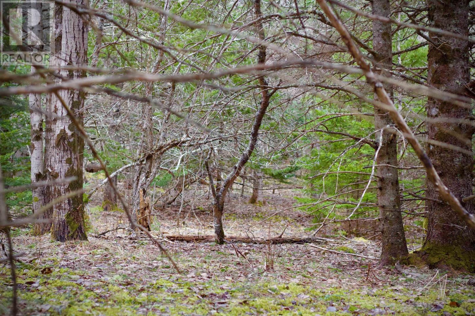 Lot A Millbrook Road, Watervale, Nova Scotia  B0K 1P0 - Photo 6 - 202207395