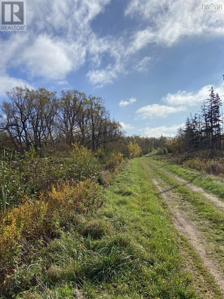 Lot 12 Shore Road, Lismore, Nova Scotia  B0K 1G0 - Photo 3 - 202200283