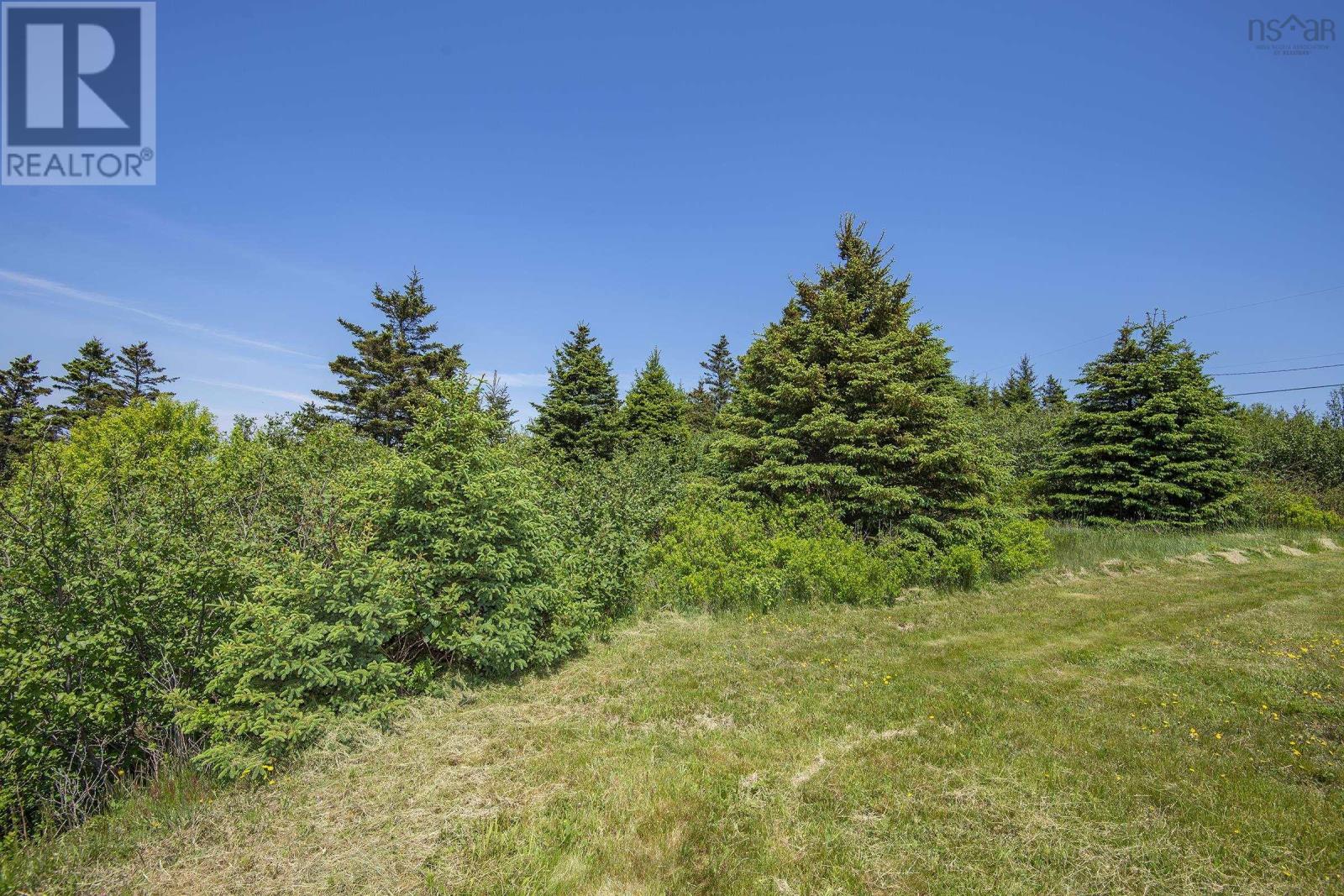 Across The Meadow Road, East Ferry, Nova Scotia  B0V 1E0 - Photo 14 - 202208992