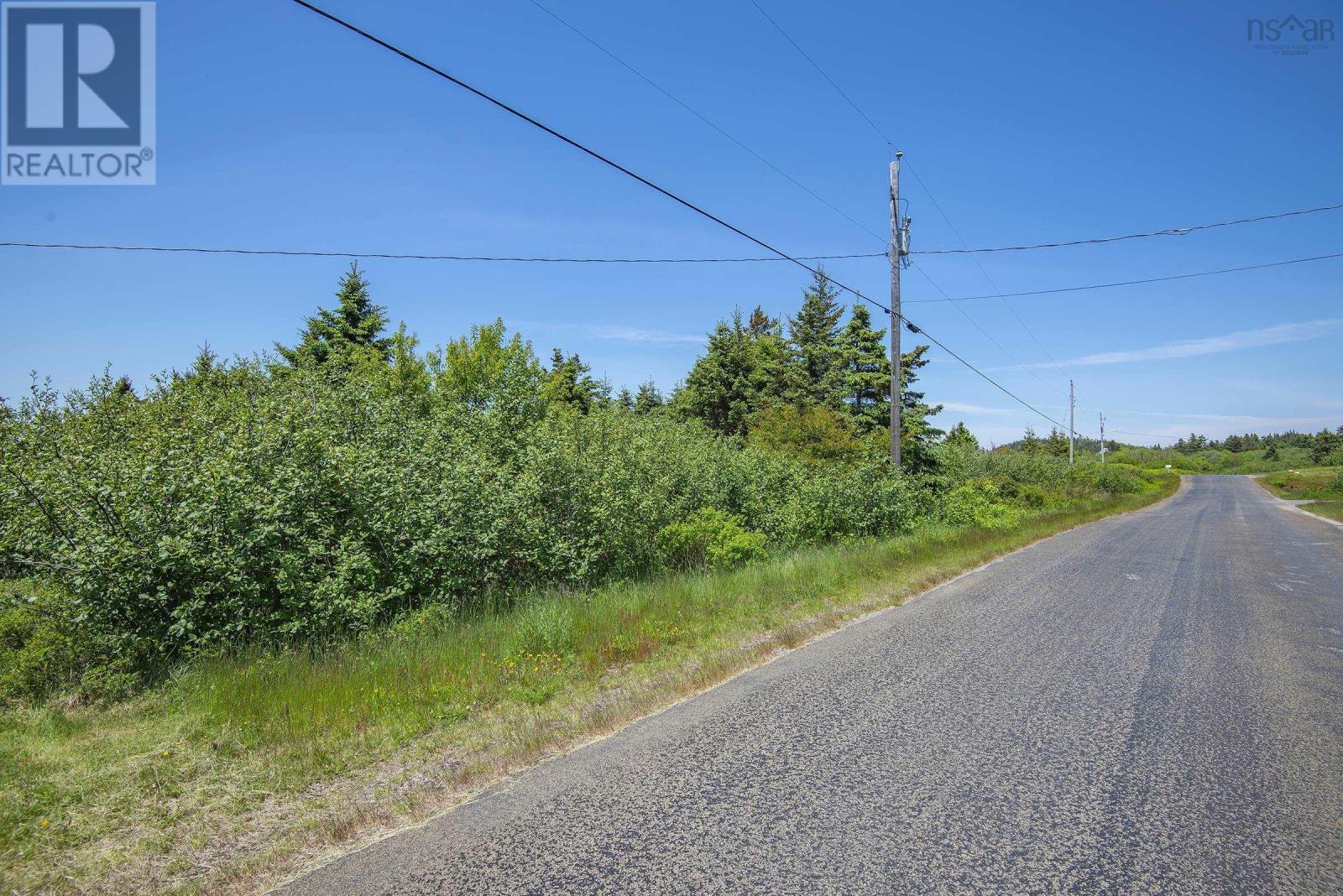 Across The Meadow Road, East Ferry, Nova Scotia  B0V 1E0 - Photo 15 - 202208992