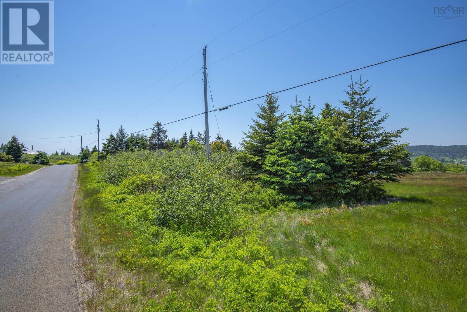 Across The Meadow Road, East Ferry, Nova Scotia  B0V 1E0 - Photo 16 - 202208992