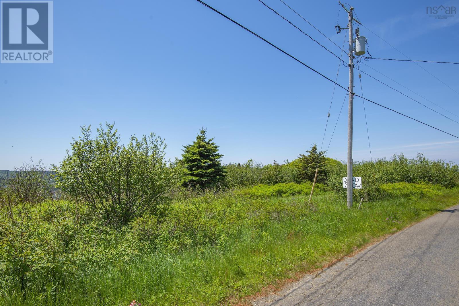 Across The Meadow Road, East Ferry, Nova Scotia  B0V 1E0 - Photo 19 - 202208992