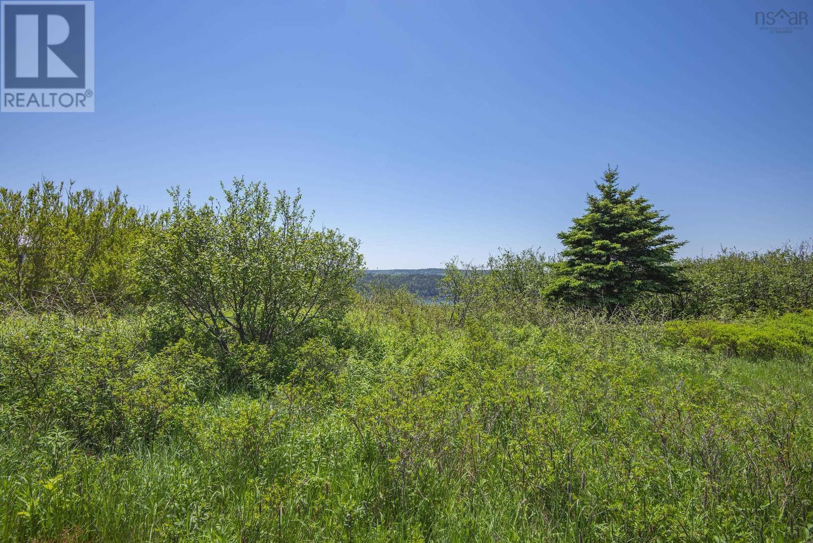 Across The Meadow Road, East Ferry, Nova Scotia  B0V 1E0 - Photo 20 - 202208992
