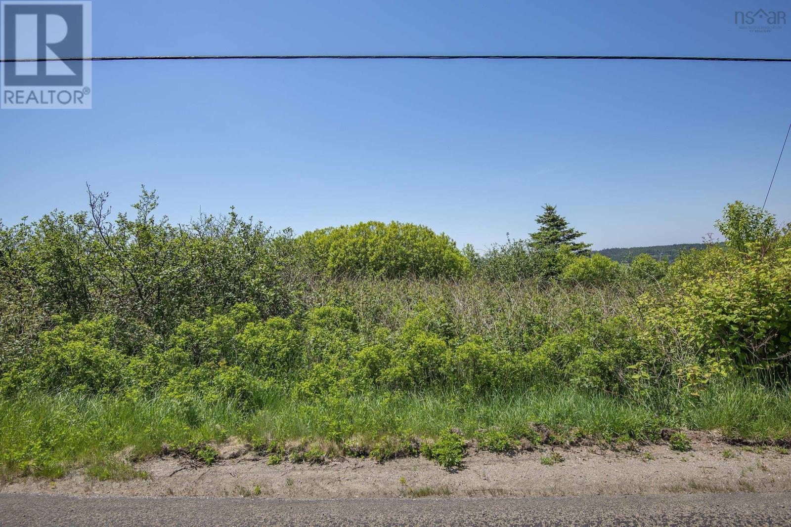 Across The Meadow Road, East Ferry, Nova Scotia  B0V 1E0 - Photo 22 - 202208992