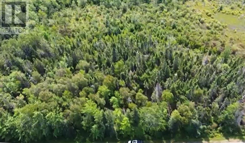 2.85 Acreage Rte 311 Primrose Road, Launching, Prince Edward Island  C0A 1G0 - Photo 3 - 202121936