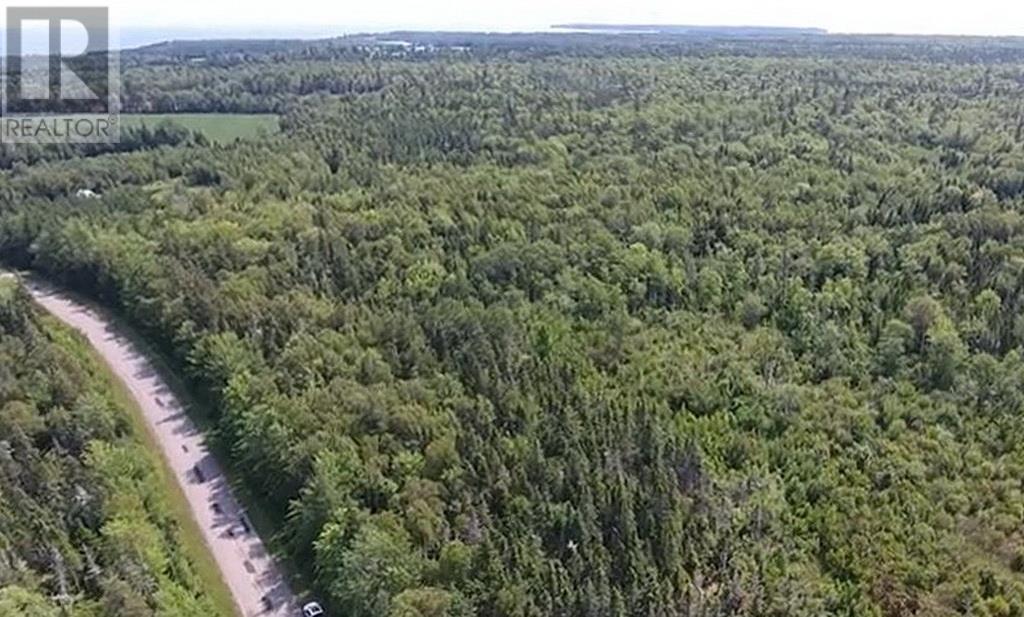 2.85 Acreage Rte 311 Primrose Road, Launching, Prince Edward Island  C0A 1G0 - Photo 5 - 202121936