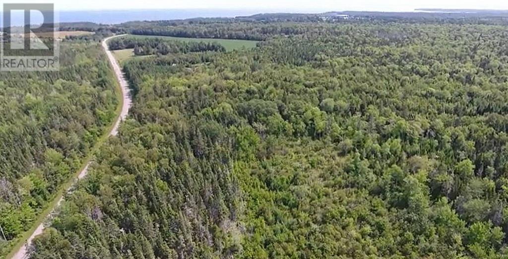 2.85 Acreage Rte 311 Primrose Road, Launching, Prince Edward Island  C0A 1G0 - Photo 6 - 202121936