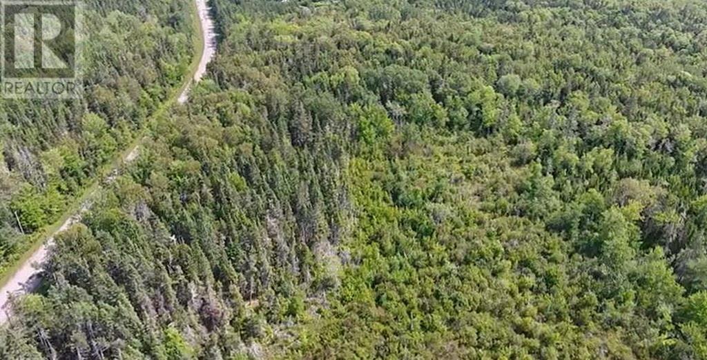 2.85 Acreage Rte 311 Primrose Road, Launching, Prince Edward Island  C0A 1G0 - Photo 7 - 202121936