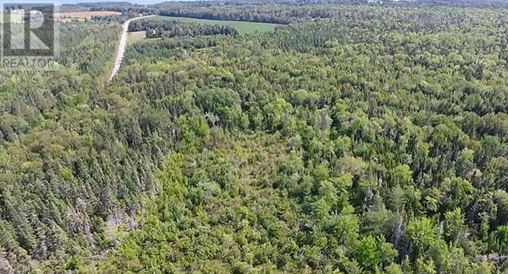 2.85 Acreage Rte 311 Primrose Road, Launching, Prince Edward Island  C0A 1G0 - Photo 8 - 202121936