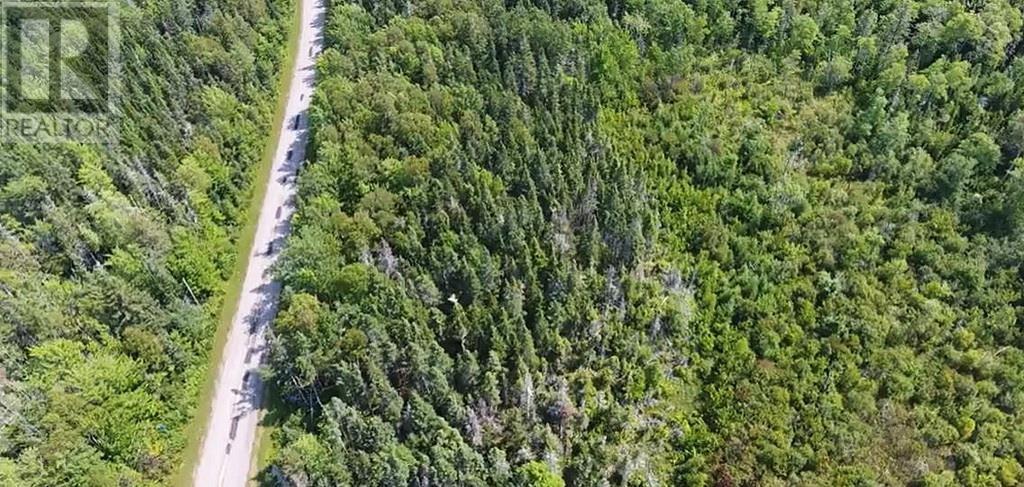 2.85 Acreage Rte 311 Primrose Road, Launching, Prince Edward Island  C0A 1G0 - Photo 9 - 202121936