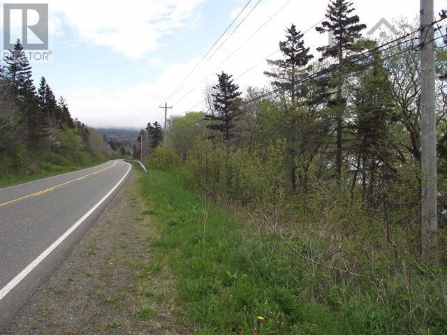 Lot 2 Highway 217, Waterford, Nova Scotia  B0V 1A0 - Photo 4 - 202129439