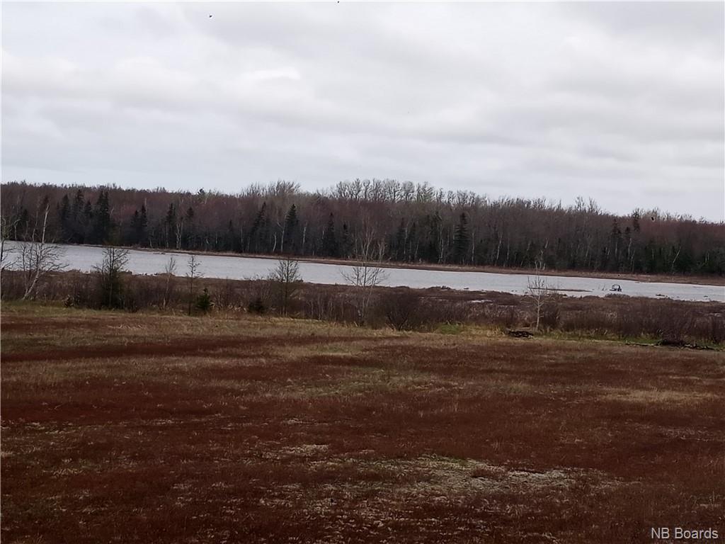 12.8 Acres Lot Route 11, Pokemouche, New Brunswick  E8P 1J7 - Photo 11 - NB072810