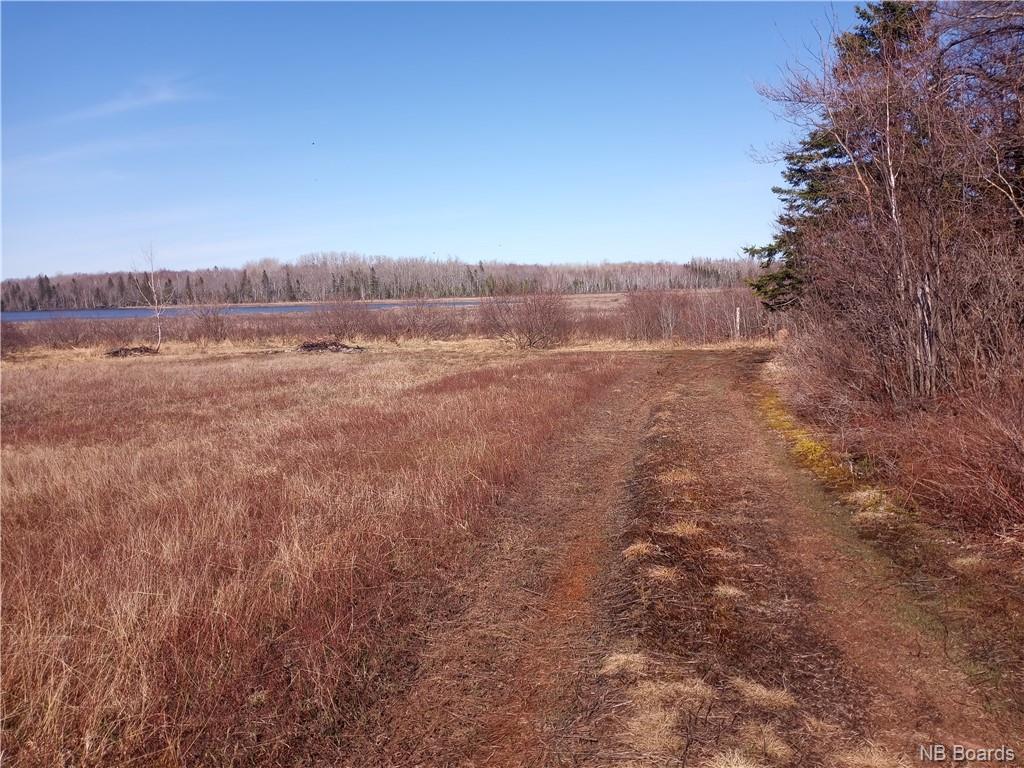 12.8 Acres Lot Route 11, Pokemouche, New Brunswick  E8P 1J7 - Photo 7 - NB072810