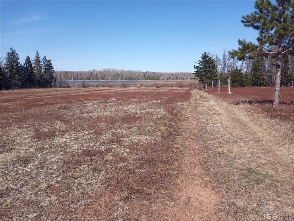 12.8 Acres Lot Route 11, Pokemouche, New Brunswick  E8P 1J7 - Photo 5 - NB072810