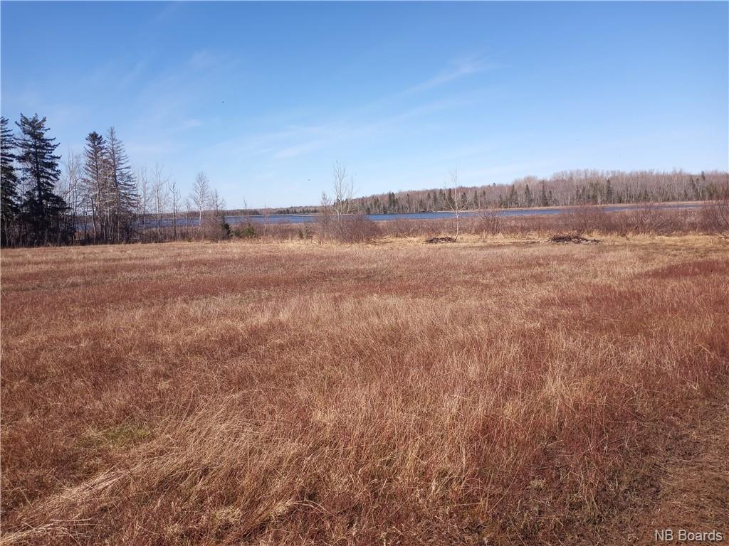 12.8 Acres Lot Route 11, Pokemouche, New Brunswick  E8P 1J7 - Photo 6 - NB072810