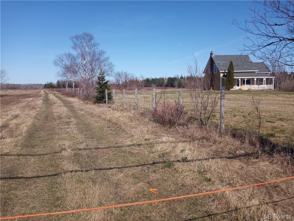 12.8 Acres Lot Route 11, Pokemouche, New Brunswick  E8P 1J7 - Photo 10 - NB072810