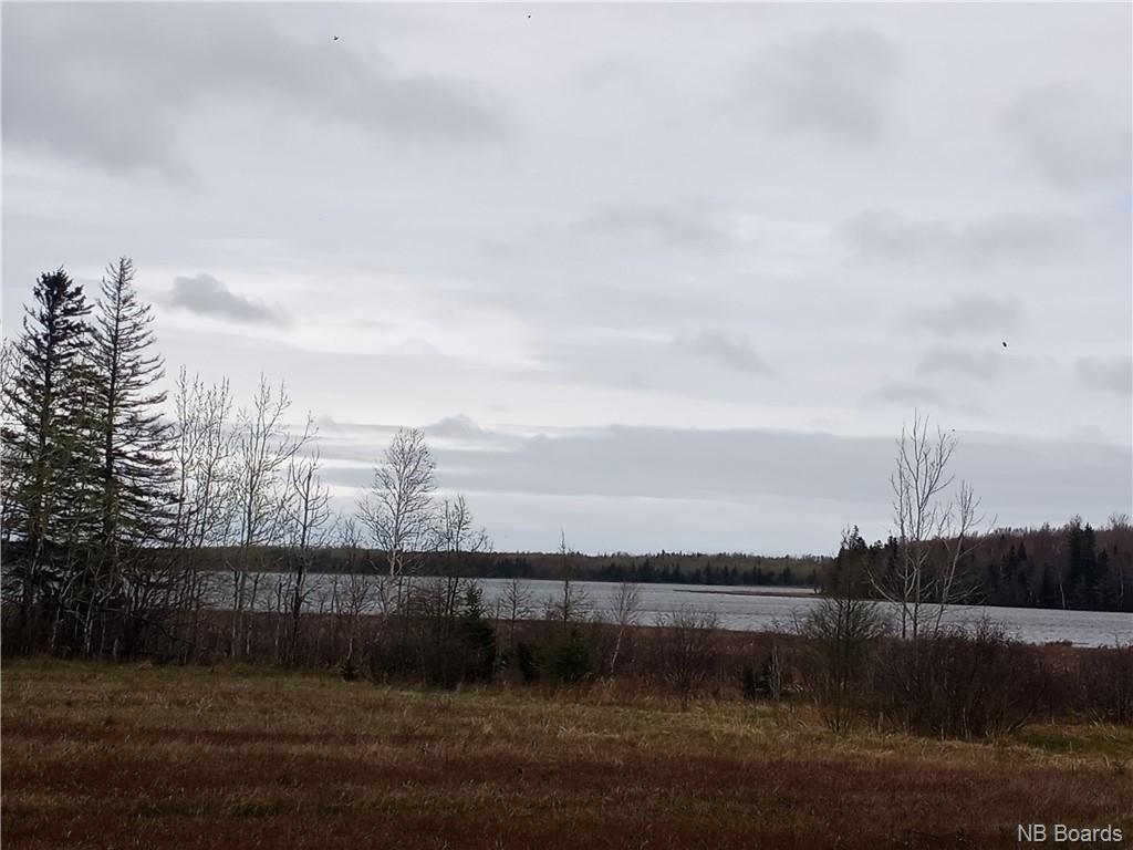 12.8 Acres Lot Route 11, Pokemouche, New Brunswick  E8P 1J7 - Photo 12 - NB072810
