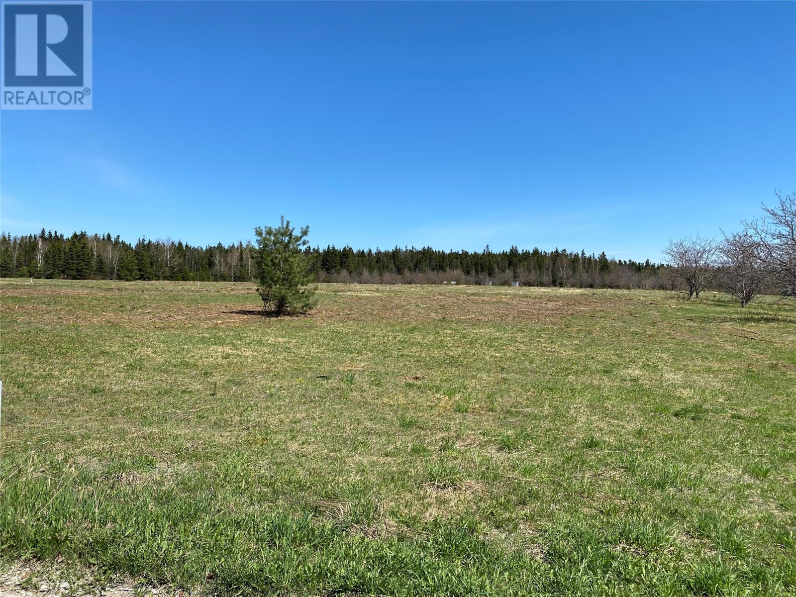 LOT#4 UPPER TANQUIL WATERS Road, REIDVILLE, A8A1Z4, ,Vacant land,For sale,UPPER TANQUIL WATERS,1232851