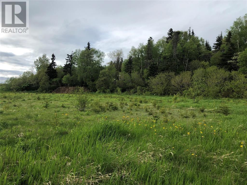 LOT#12 UPPER TRANQUIL WATERS Road, reidville, Newfoundland & Labrador