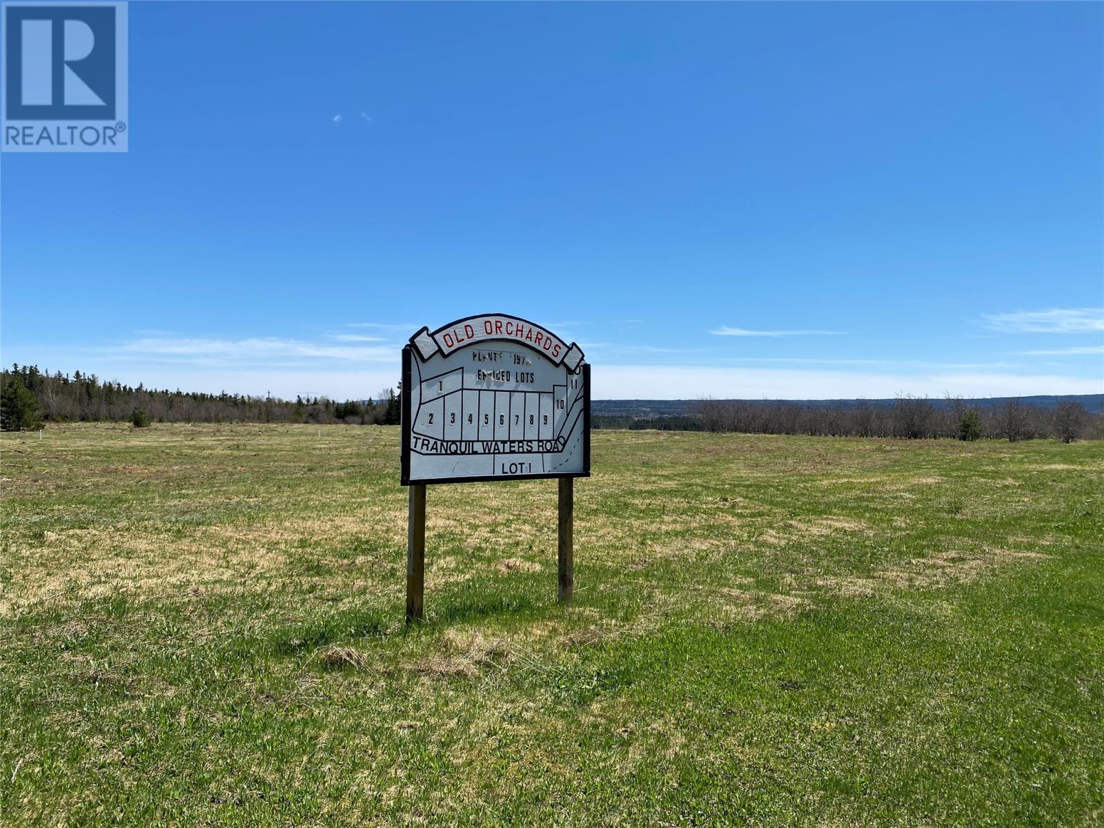 LOT#5 UPPER TANQUIL WATERS Road, REIDVILLE, A8A1Z4, ,Vacant land,For sale,UPPER TANQUIL WATERS,1232850