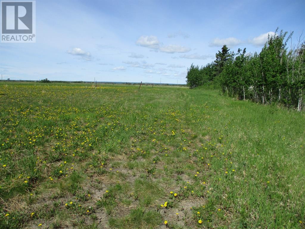9231001  Twp Rd 920, County Of, Alberta  T0H 2M0 - Photo 6 - A1115600