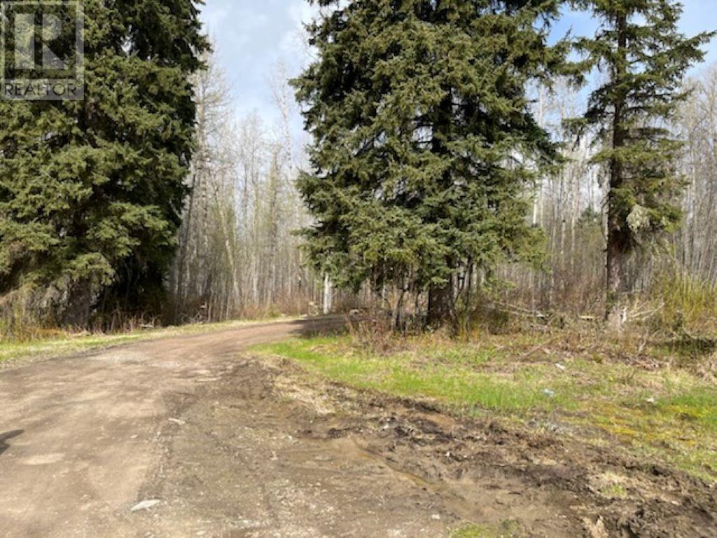 33215 Chief Lake Road, Prince George, British Columbia  V2K 5L6 - Photo 4 - R2692851