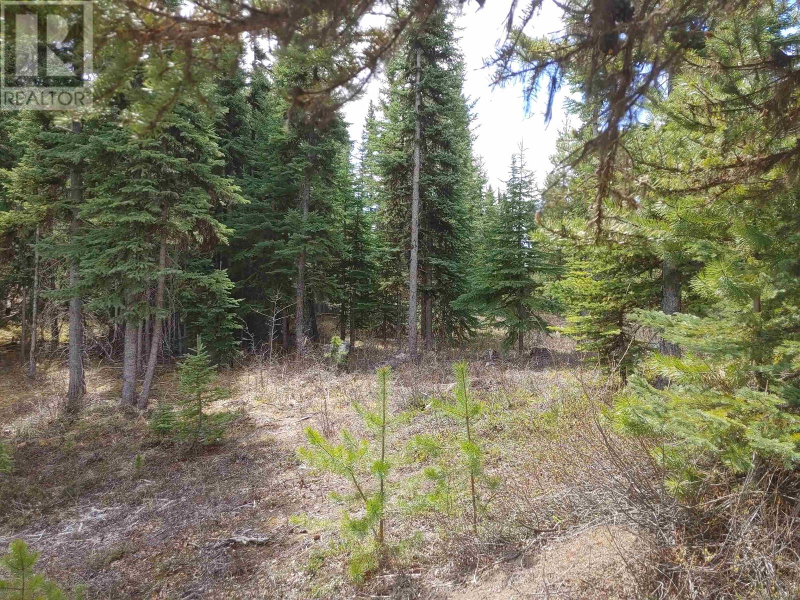 Lot 3 Ager Road, Burns Lake, British Columbia  V0J 1E2 - Photo 4 - R2688223