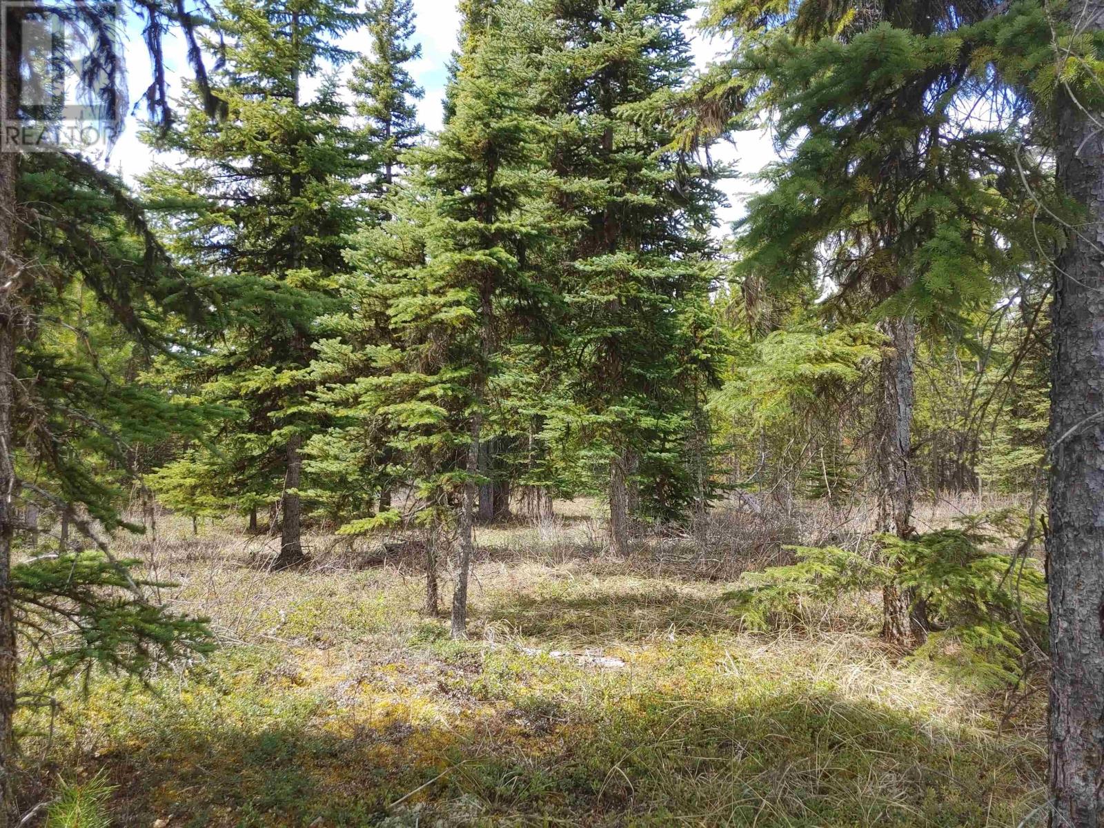Lot 3 Ager Road, Burns Lake, British Columbia  V0J 1E2 - Photo 5 - R2688223