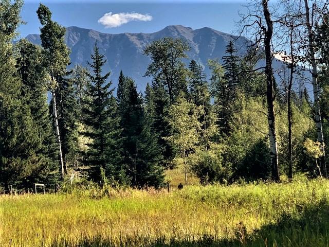 8412 Kaisner Road, Elk Valley, British Columbia  V0B 2G3 - Photo 38 - 2465315