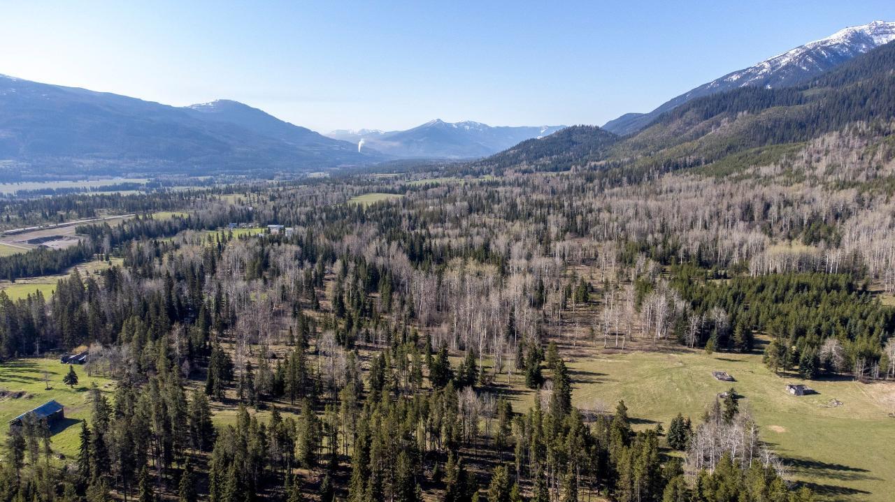 8412 Kaisner Road, Elk Valley, British Columbia  V0B 2G3 - Photo 10 - 2465315